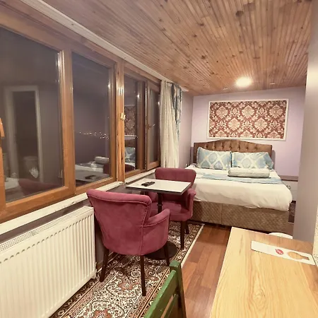 Mitra Downtown 3*