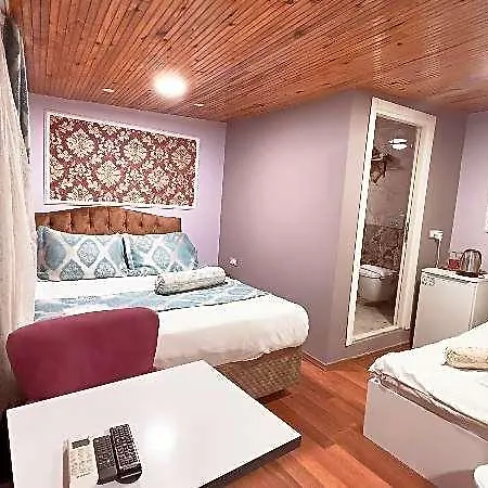 Mitra Downtown Hotel 3*